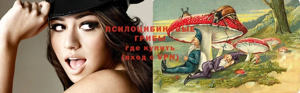 молекула духа Нефтегорск